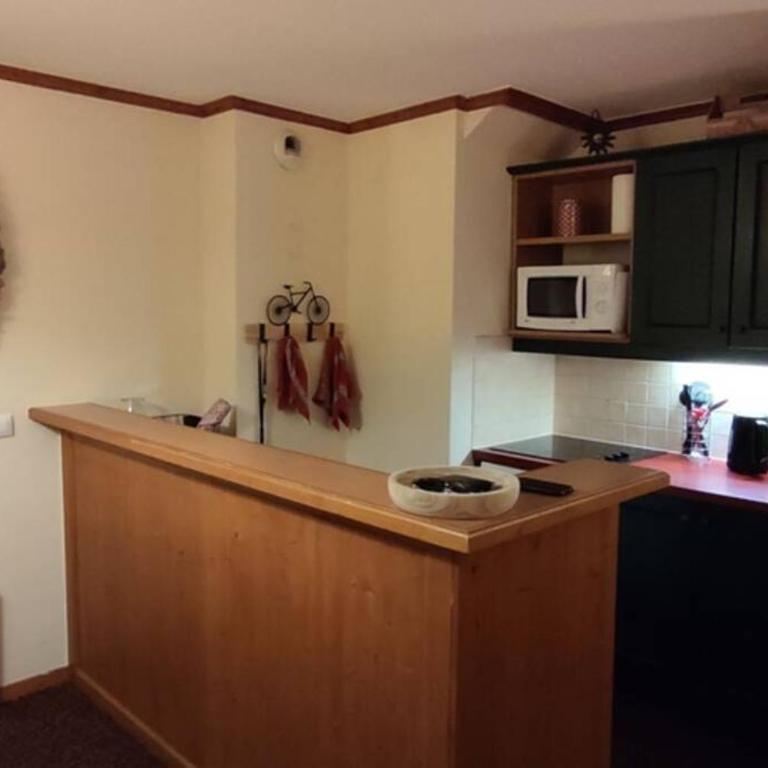 Le Refuge de L'alpaga Superbe duplex au pied des pistes avec Parking couvert gratuit - Appartement 2 Chambres - 21