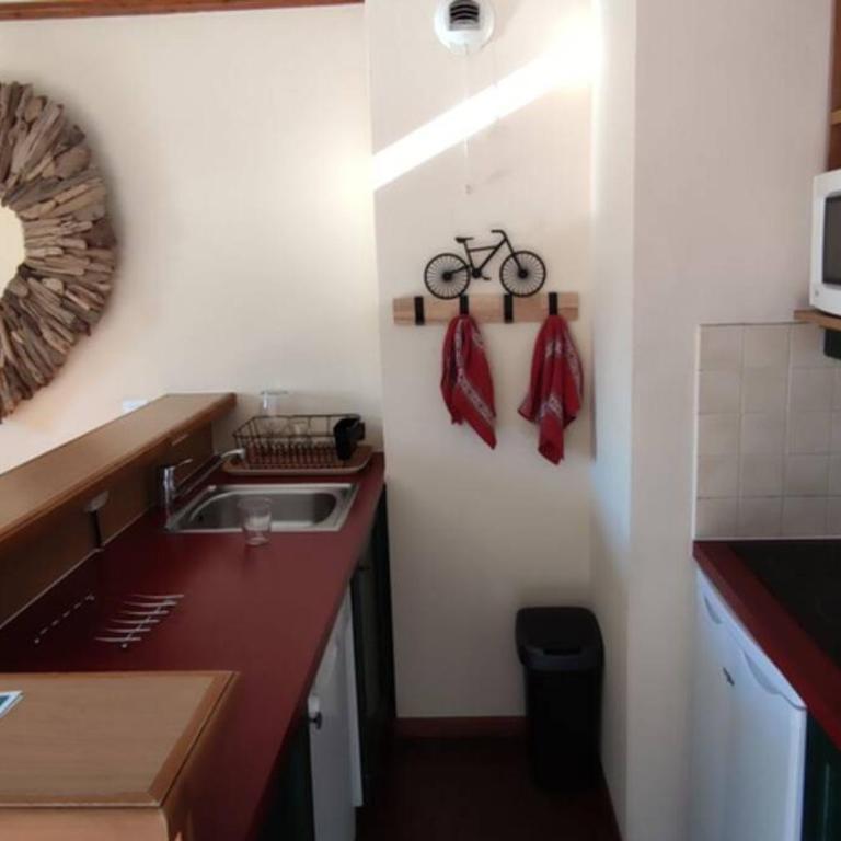 Le Refuge de L'alpaga Superbe duplex au pied des pistes avec Parking couvert gratuit - Appartement 2 Chambres - 30