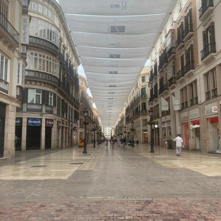 APTO CARRETERIAS MALAGA CENTRO - One-Bedroom Apartment - 10