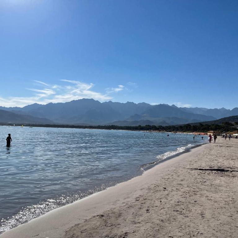 Calvi T2 climatisé, wifi, centre-ville, à proximité plage, commerces, taxi & gare, vue plage & montagne - Appartement 1 Chambre - 19