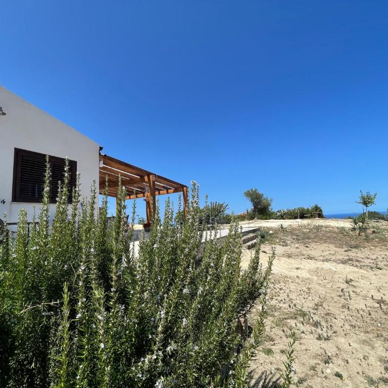David - Casa Vacanze - 6