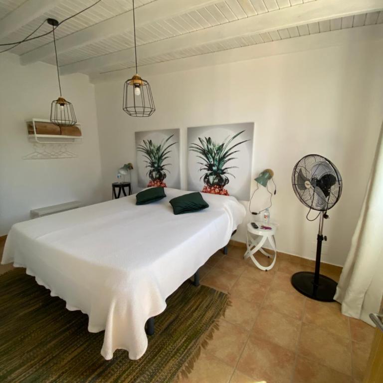 Casa Kiko Fuerteventura - Apartamento de 1 dormitorio - 13