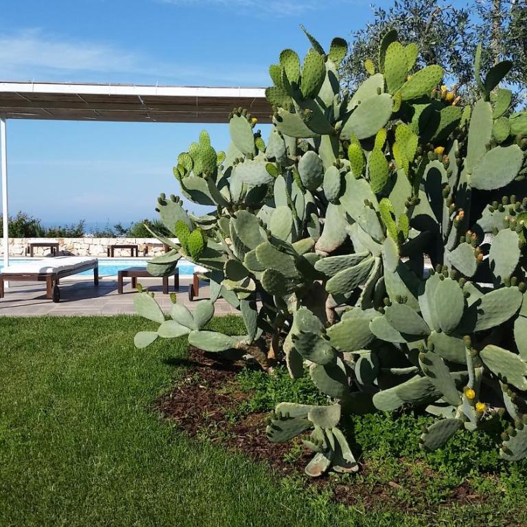 Villa Mest Pepp - Villa con Piscina Privata - 50