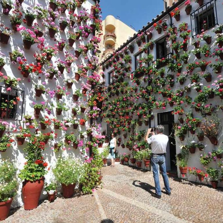 GRUPO LIMCOTEl PERLA 2 - Apartamento de 1 dormitorio - 62
