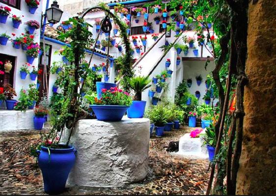 GRUPO LIMCOTEl PERLA 2 - Apartamento de 1 dormitorio - 59