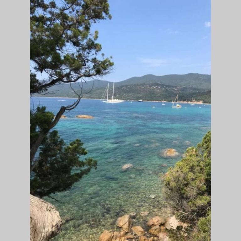 T2 Sanguinaires calme et cosy, entre mer et maquis - Appartement 1 Chambre - 50