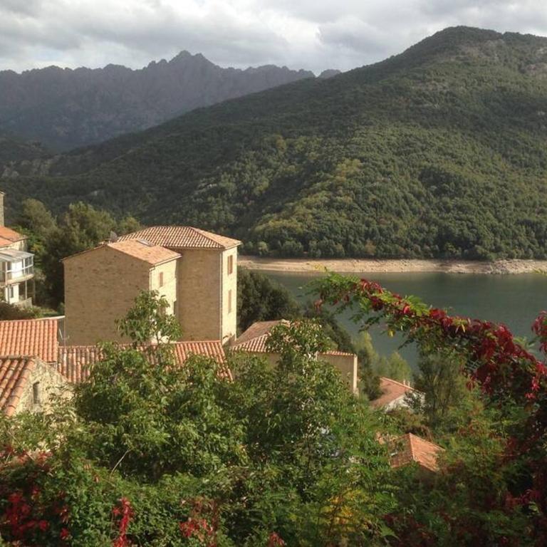 T2 Sanguinaires calme et cosy, entre mer et maquis - Appartement 1 Chambre - 53