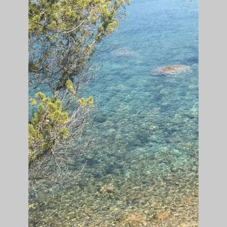 T2 Sanguinaires calme et cosy, entre mer et maquis - Appartement 1 Chambre - 51