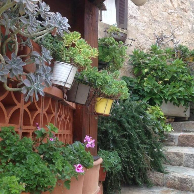 T2 Sanguinaires calme et cosy, entre mer et maquis - Appartement 1 Chambre - 54