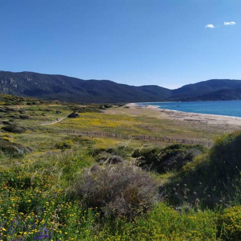 T2 Sanguinaires calme et cosy, entre mer et maquis - Appartement 1 Chambre - 48