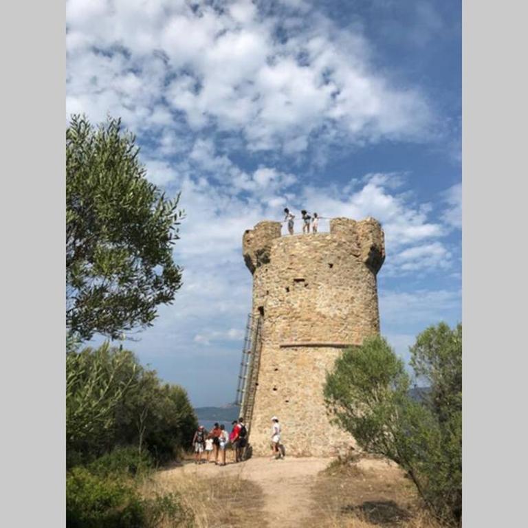 T2 Sanguinaires calme et cosy, entre mer et maquis - Appartement 1 Chambre - 52