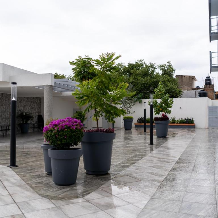 Departamento La Choza Central Pool in GDL downtown - Two-Bedroom Apartment - 34