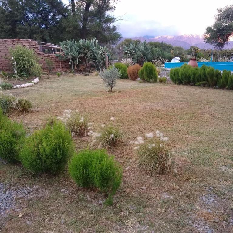 Las Tinajas de San Carlos - Triple Room with Private Bathroom - 5