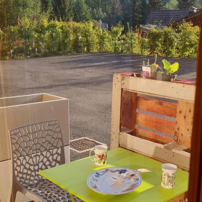 Chalet Arpitan - les Carroz - Grand Massif - Studio - Vue sur Montagne - 10