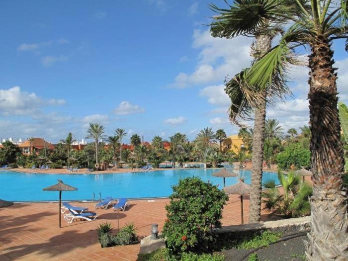Oasis Tamarindo by Best Holidays Fuerteventura - Apartamento de 1 dormitorio - 2