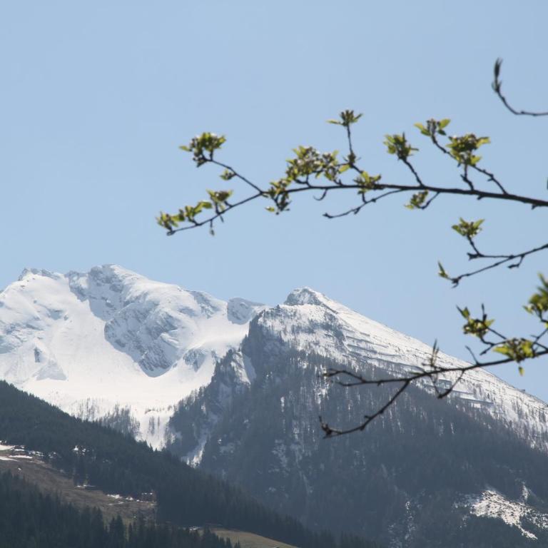 Villa Schnuck ــ Chalet mit Sauna in Bad Gastein - Ferienhaus mit Bergblick - 27