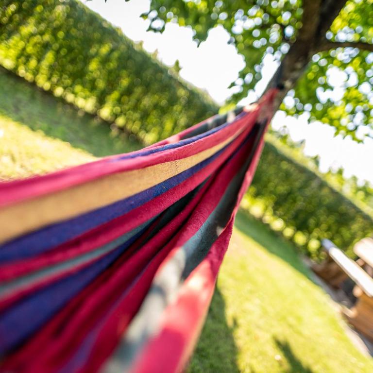 Kranach 5 - Wohnen beim Wein - Casa Vacanze - 61