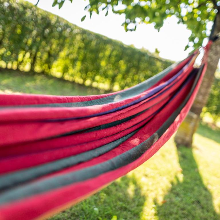 Kranach 5 - Wohnen beim Wein - Casa Vacanze - 59