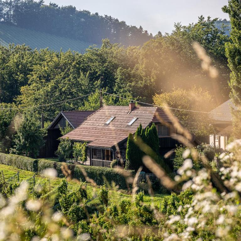 Kranach 5 - Wohnen beim Wein - Casa Vacanze - 18