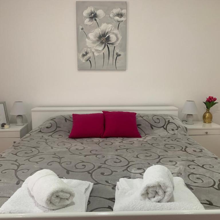 Vlajković apartmani - Apartman - 2