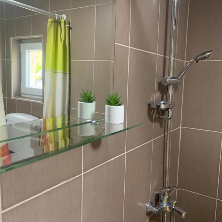 Vlajkovic apartmani 2 - Apartman sa 2 Spavaće Sobe - 7