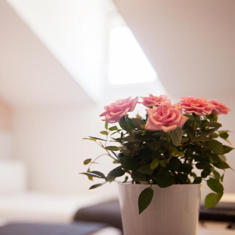 Hotel Cannes Croisette - Chambre Triple Standard - 4