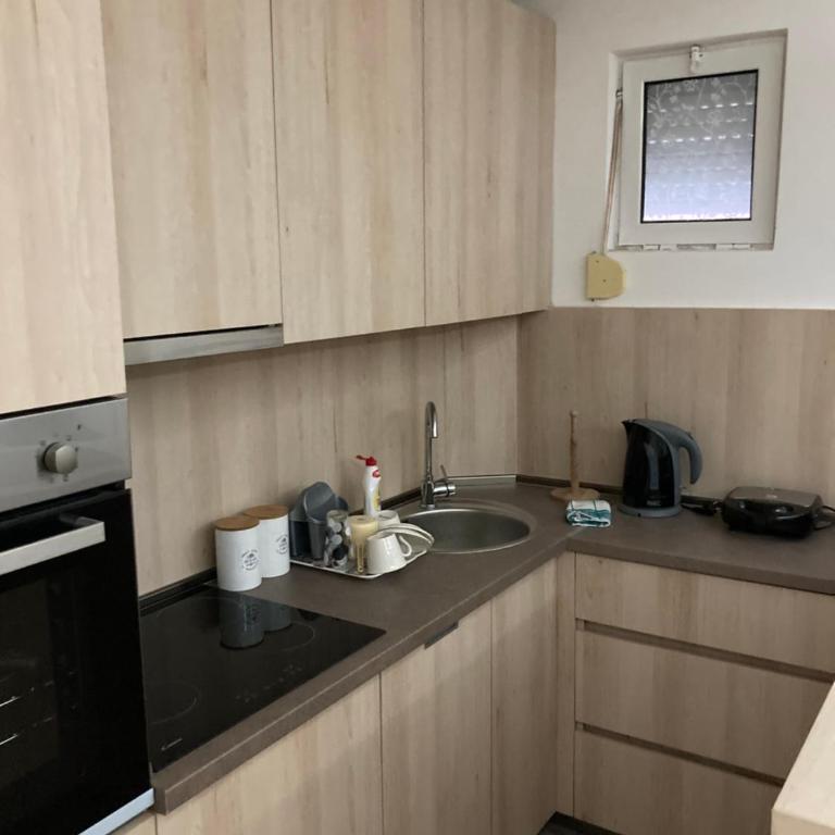 Stan na dan Bogdan - Apartman sa 1 Spavaćom Sobom - 8