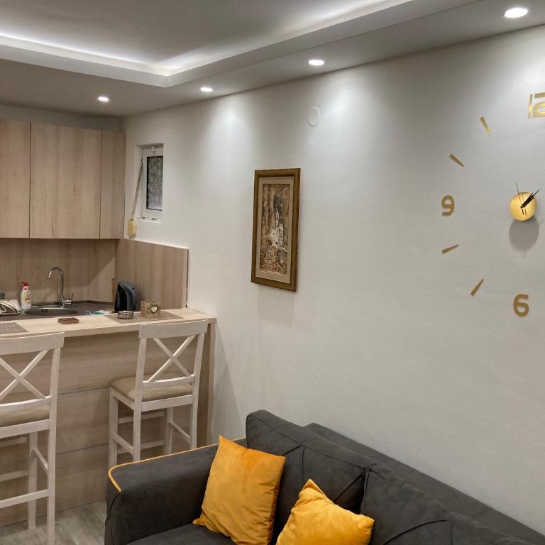 Stan na dan Bogdan - Apartman sa 1 Spavaćom Sobom - 9