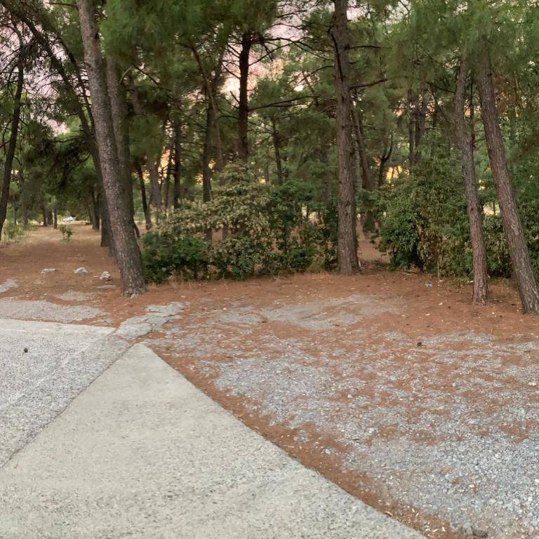 Stan na dan Bogdan - Apartman sa 1 Spavaćom Sobom - 12