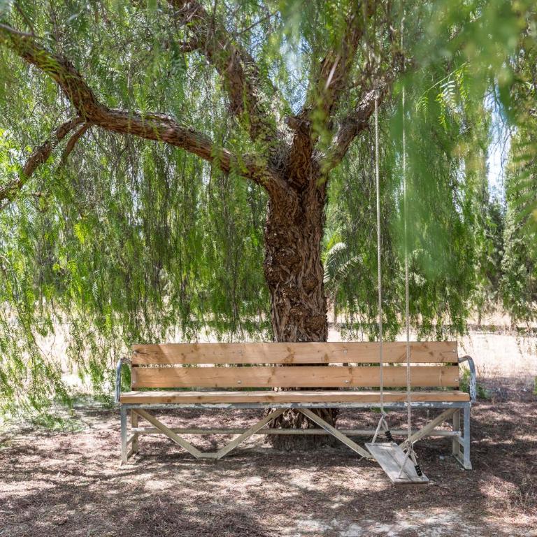VILLA FINA (piscina/wifi/barbacoa/parking) - Villa - 58