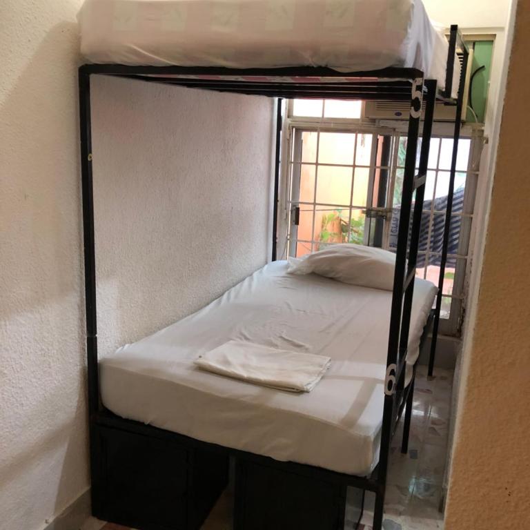 Mini Hostal Cultural de Mazatlán - Bed in 6-Bed Mixed Dormitory Room - 10