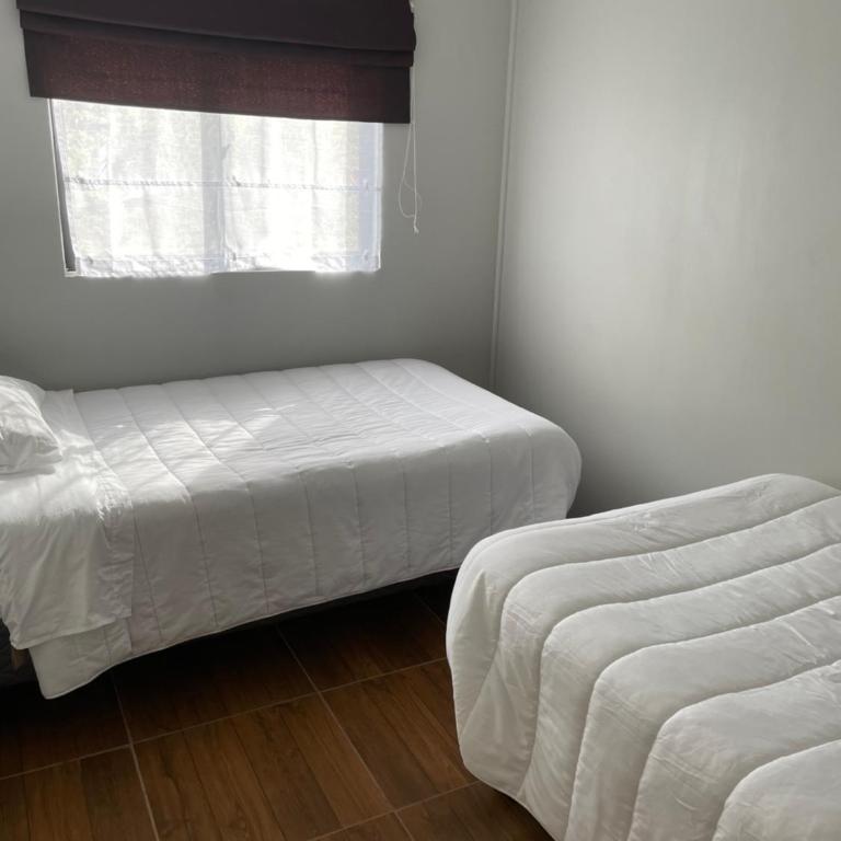 Apartamentos-Magnolia - Apartamento de 2 dormitorios - 2