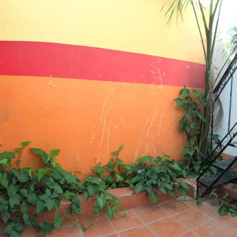 Mini Hostal Cultural de Mazatlán - Bed in 6-Bed Mixed Dormitory Room - 3