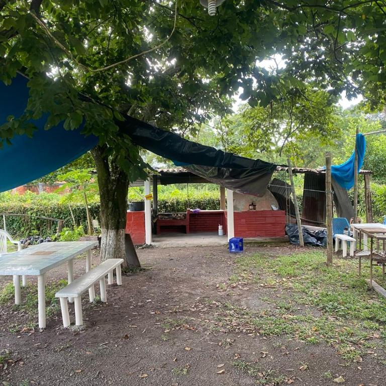 FINCA CAMPO ALEGRE - Casa de 3 dormitorios - 12