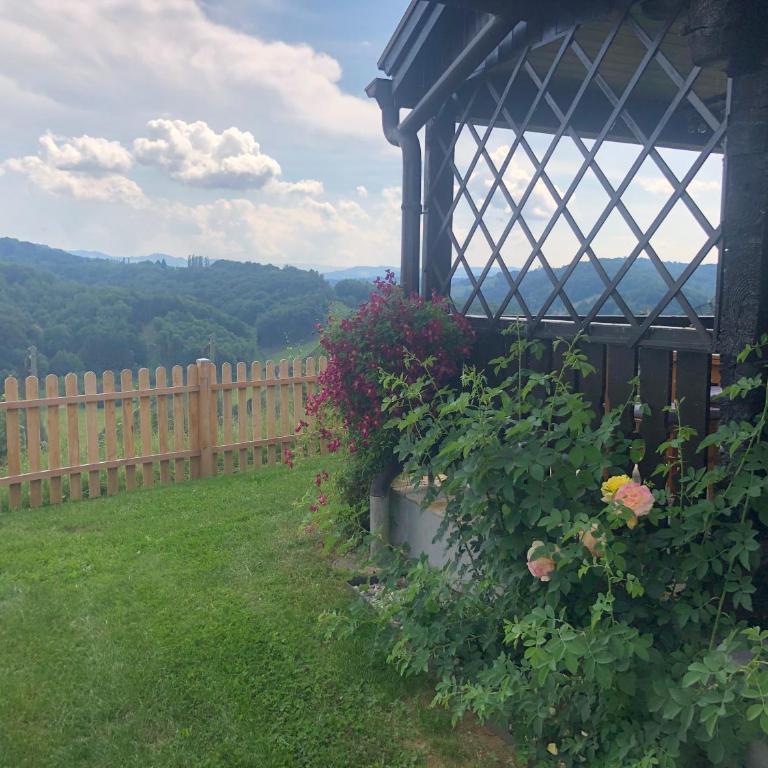 Kranach 5 - Wohnen beim Wein - Casa Vacanze - 8