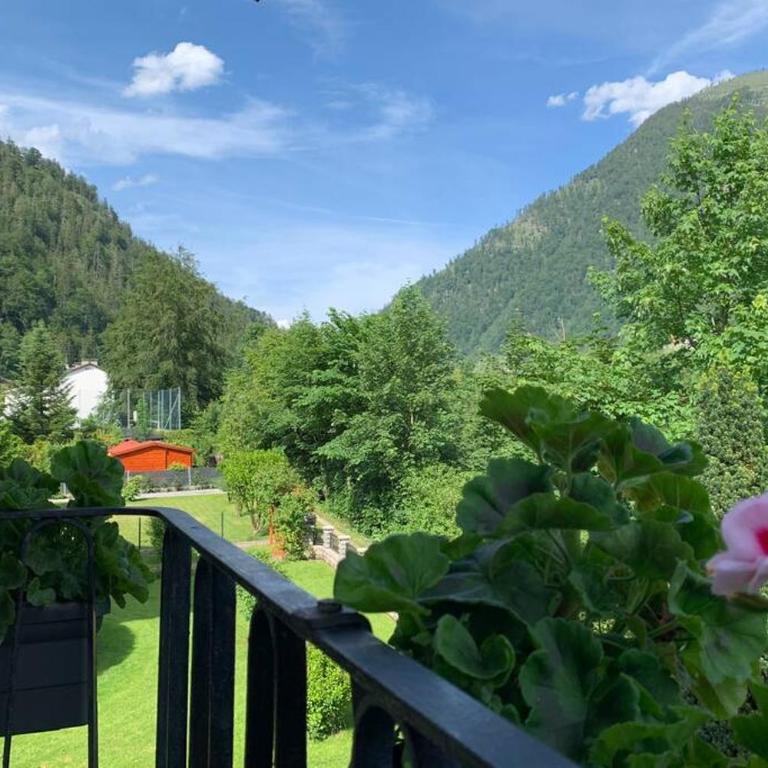 Unterkunft mit Aussicht in Bad Ischl - Apartment mit 2 Schlafzimmern - 14