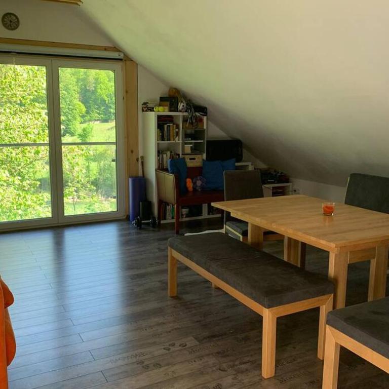 Unterkunft mit Aussicht in Bad Ischl - Apartment mit 2 Schlafzimmern - 27