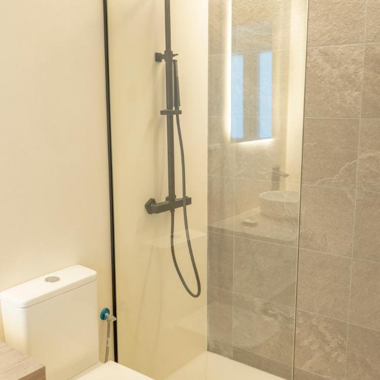 Suites Alfonso X - Suite Executive - 3
