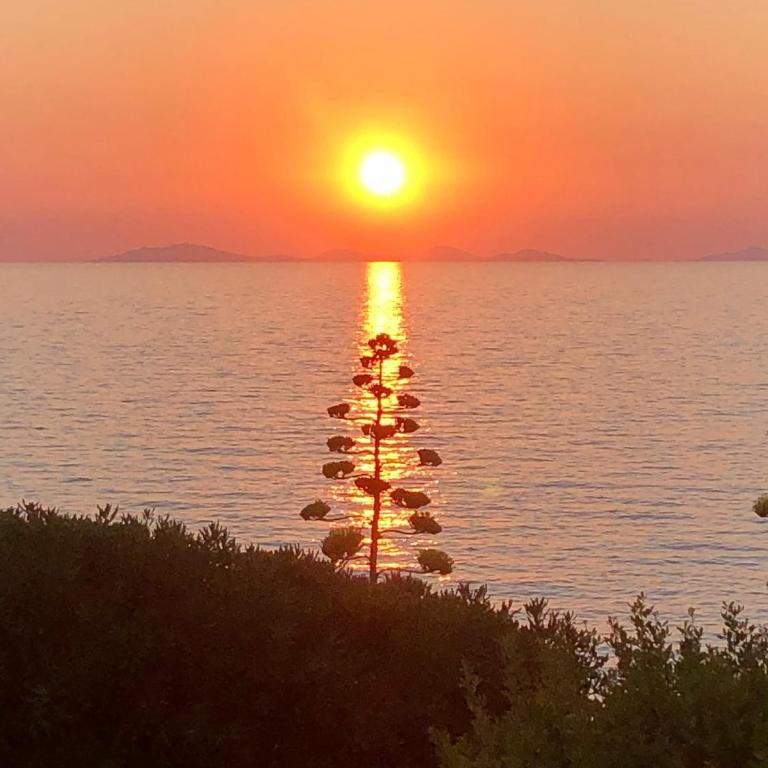 Villetta sul mare a Punta Tramontana - Casa de 2 dormitorios - 20