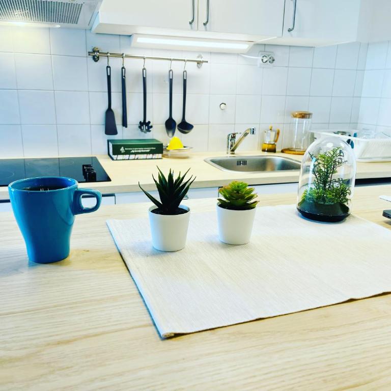 Sokobanja Apartman Aleksa - Apartment - 22