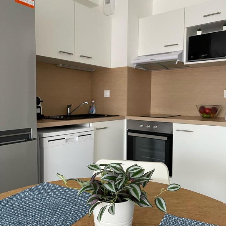 Superbe appartement neuf entre mer et pins Wifi - Apartment mit 1 Schlafzimmer - 25