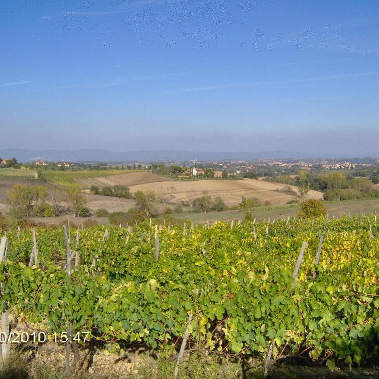 Tenuta Santagnese - Appartamento con 1 Camera da Letto - 3