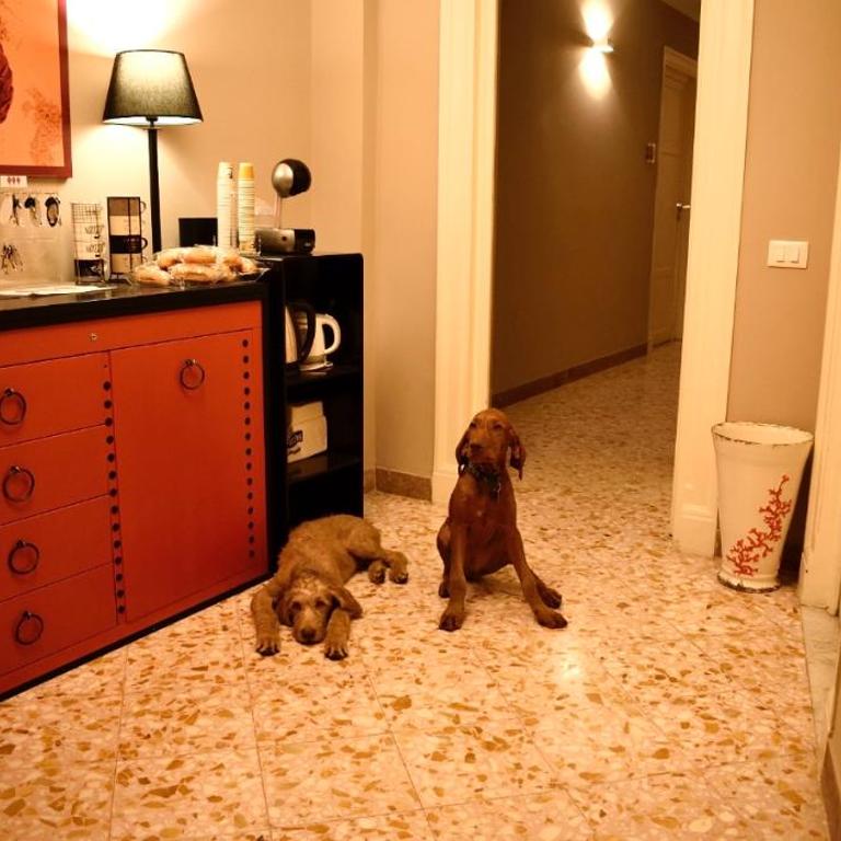 Due Cani - Double Room with Private Bathroom - 1