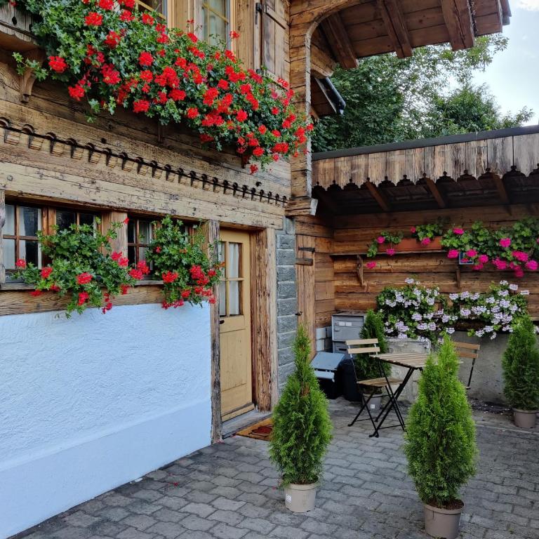 Studio FranGiò - Studio Standard - 23