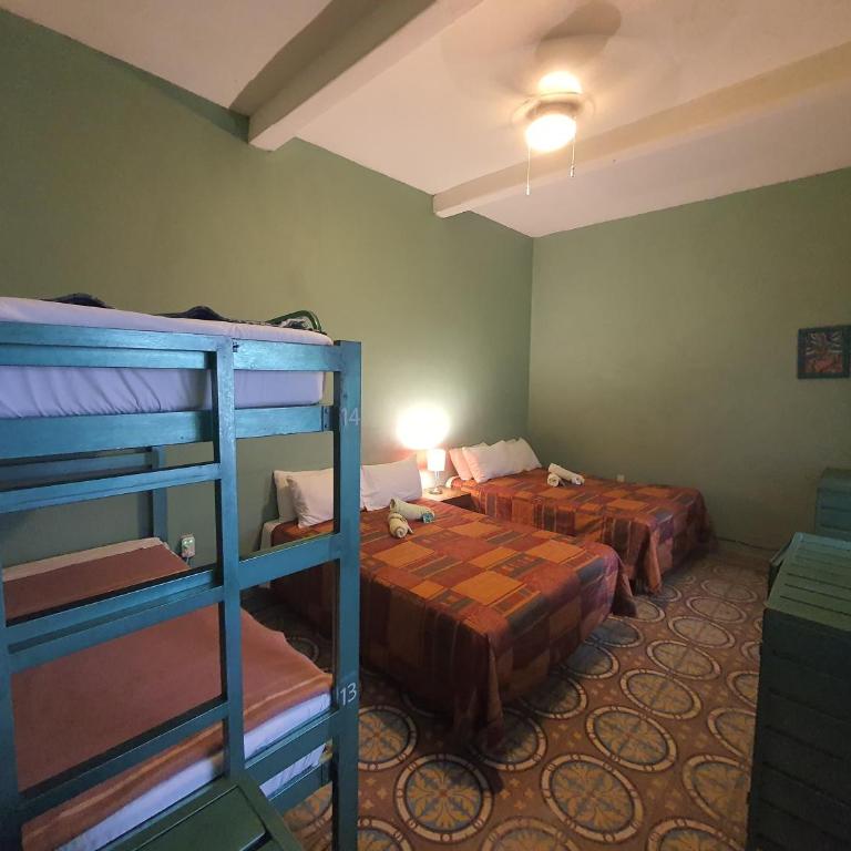 Hierba De Conejo Hostel - Habitación Familiar - 1