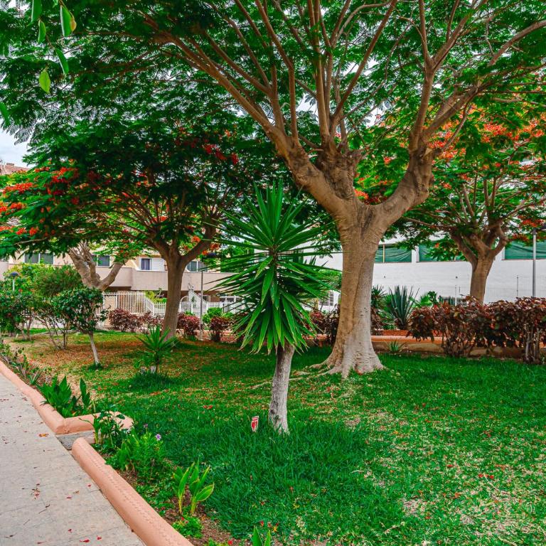 YELLOW 3 bedroom large apartment for 10 guests - Apartamento de 3 dormitorios - 31