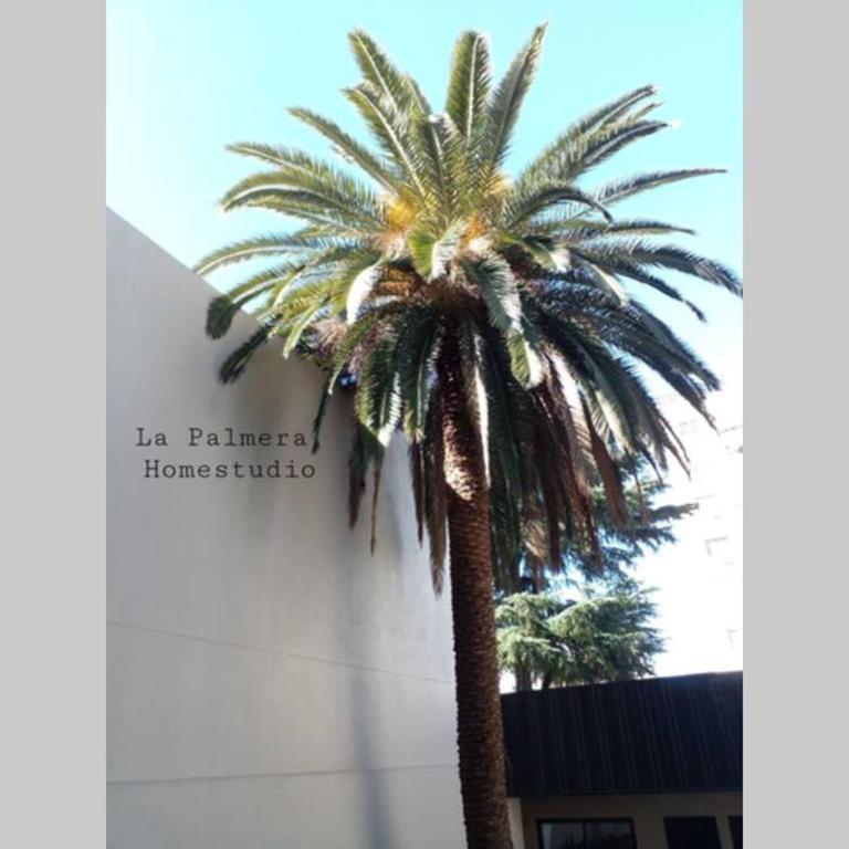 La Palmera Homestudio. Hermoso apartamento en el corazón de Palermo Hollywood - Apartamento de 1 dormitorio - 48