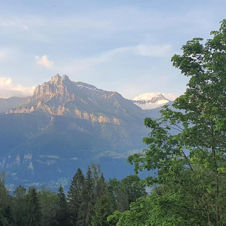 Studio tout confort avec vue sur les sommets - Studio Supérieur - 2