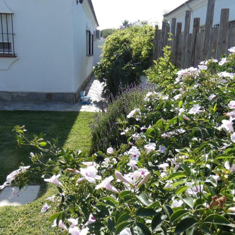 Villa Lolo de design con Piscina, Jardin y Parking exclusivo - Casa de 3 dormitorios - 63