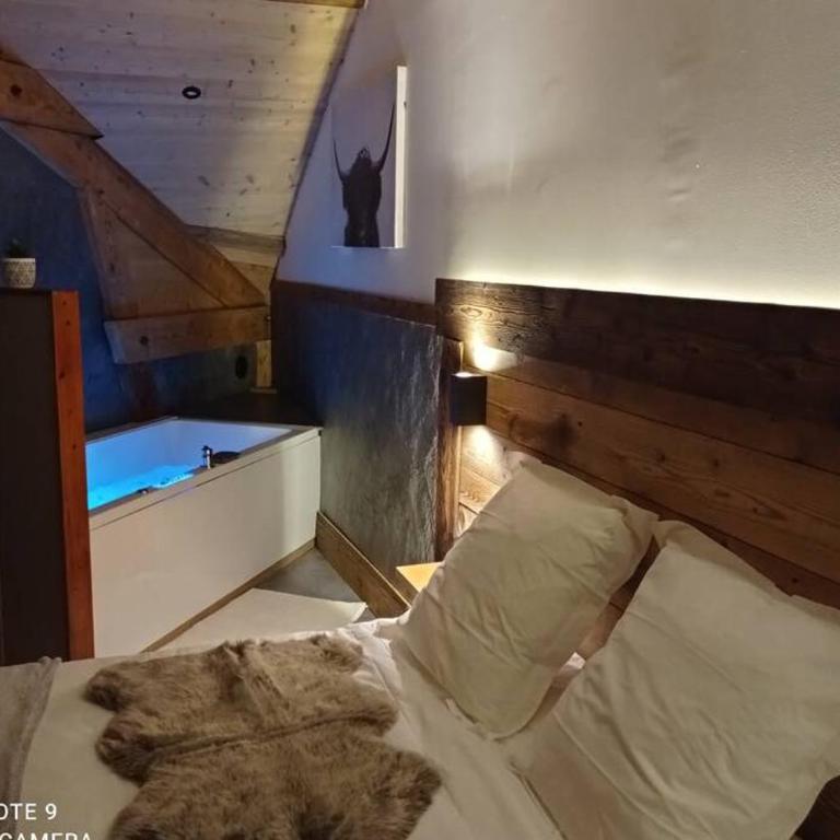 Superbe appartement, hypercentre au calme avec bain balnéo - Appartement 2 Chambres - 7